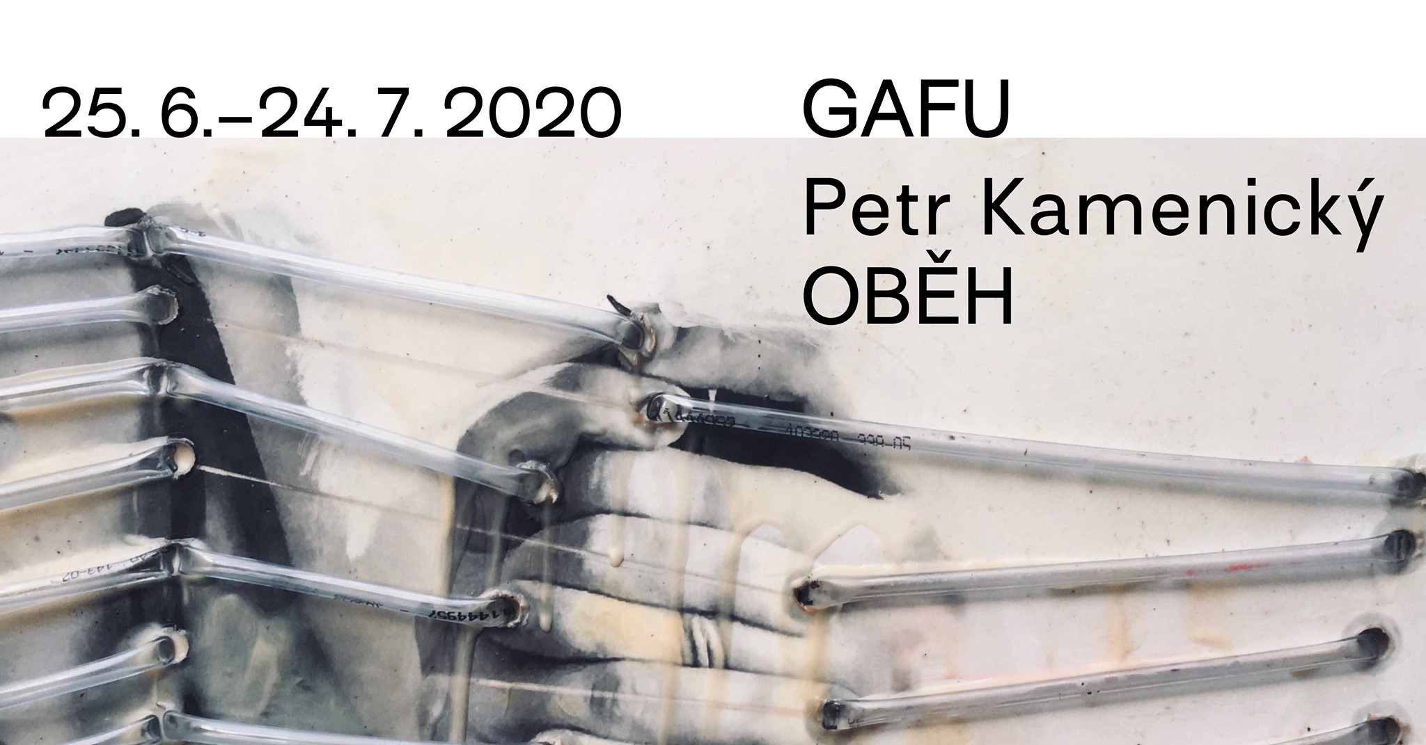 Petr Kamenický: Oběh